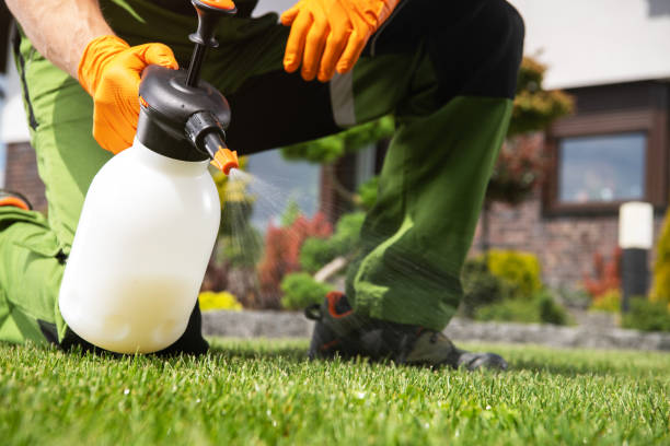 Best Wildlife Control Services  in Sturgeon, MO
