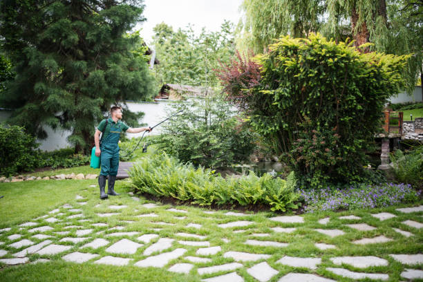 Wasp Removal Services in Sturgeon, MO