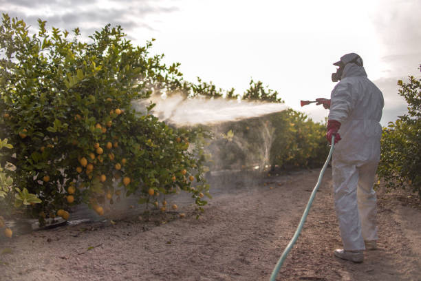 Best Mosquito Control Services  in Sturgeon, MO