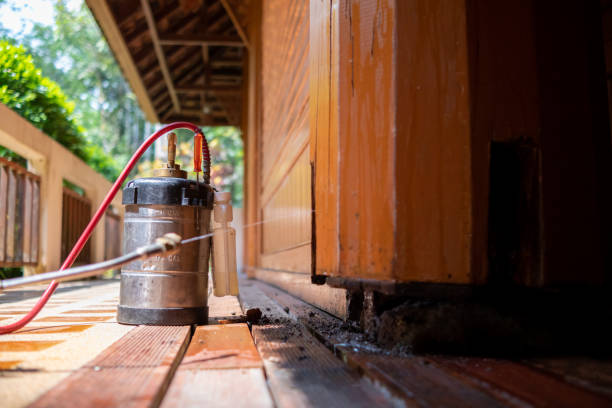 Best Termite Control Services  in Sturgeon, MO