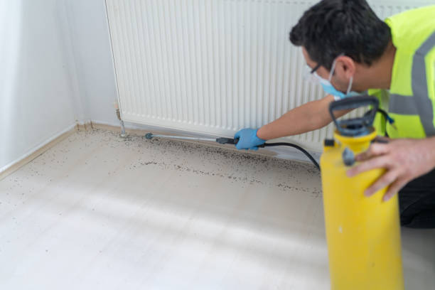 Best Bed Bug Extermination  in Sturgeon, MO