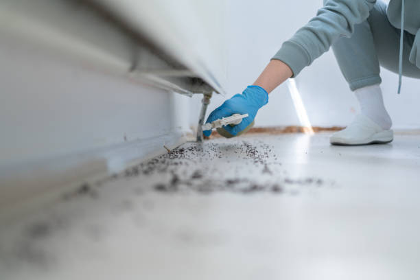 Best Pest Removal Services  in Sturgeon, MO